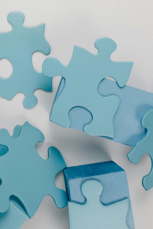 Project recovery - putting the pieces back together